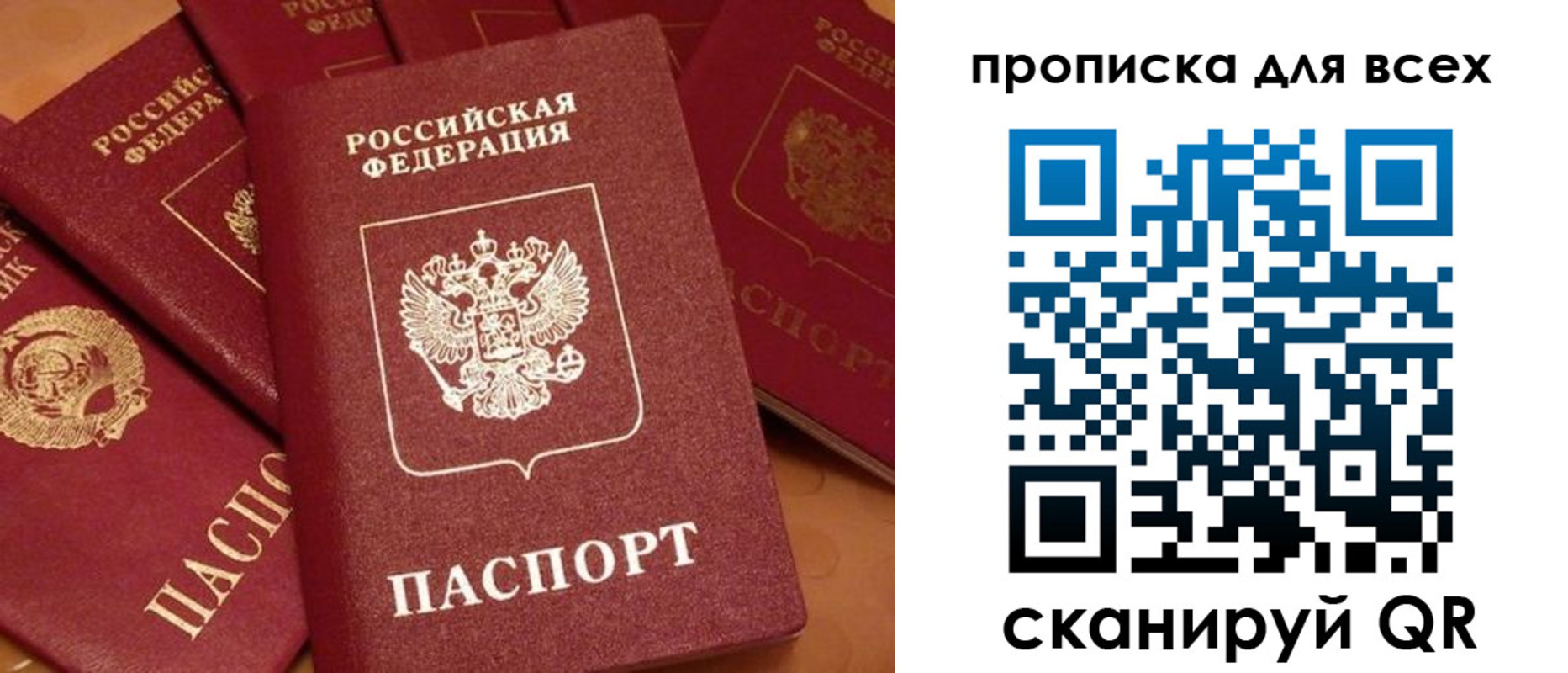 временная регистрация поиск в Николаевске